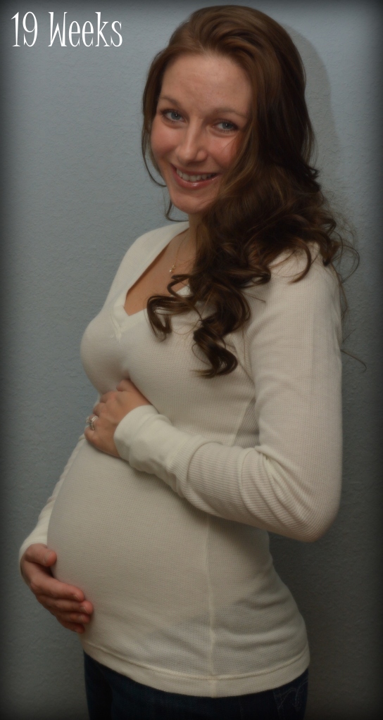 19 Weeks Pregnant 3